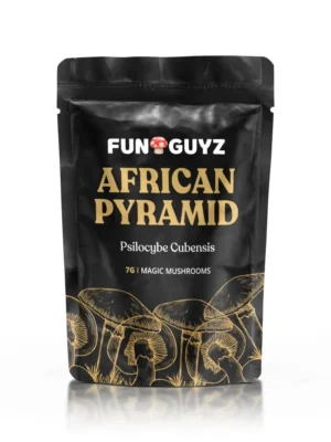 Buy Funguyz African Pyramid Magic Mushrooms