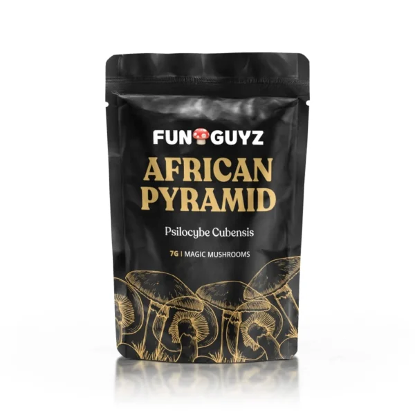 Buy Funguyz African Pyramid Magic Mushrooms