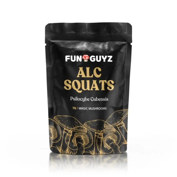 Buy Funguyz Alc Squats Magic Mushrooms
