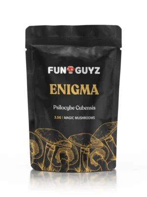 Buy Funguyz Enigma Magic Mushrooms