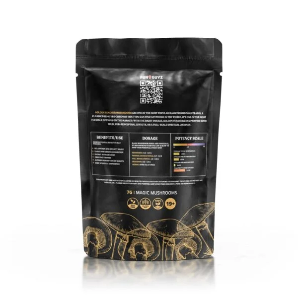 Buy Funguyz African Pyramid Magic Mushrooms