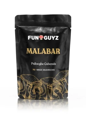Buy Funguyz Malabar Magic Mushrooms
