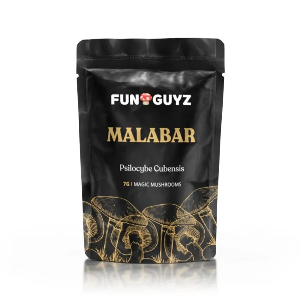 Buy Funguyz Malabar Magic Mushrooms