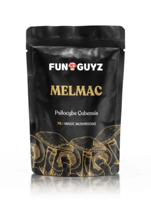 Buy Funguyz Melmac – Magic Mushrooms