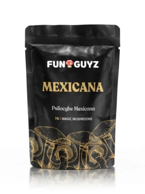 Buy Funguyz Mexicana – Magic Mushrooms